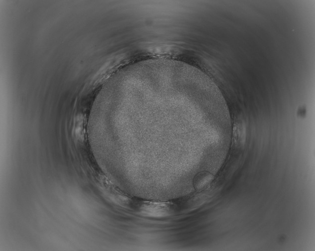 X0000115580671200912011440