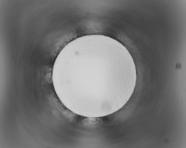 X0000115580672200912011440