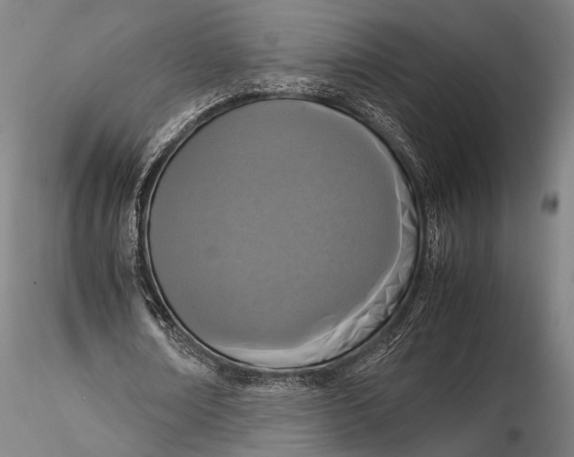 X0000115580674200912011440