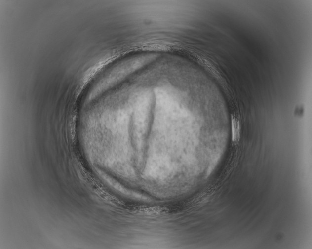 X0000115580675200912011440