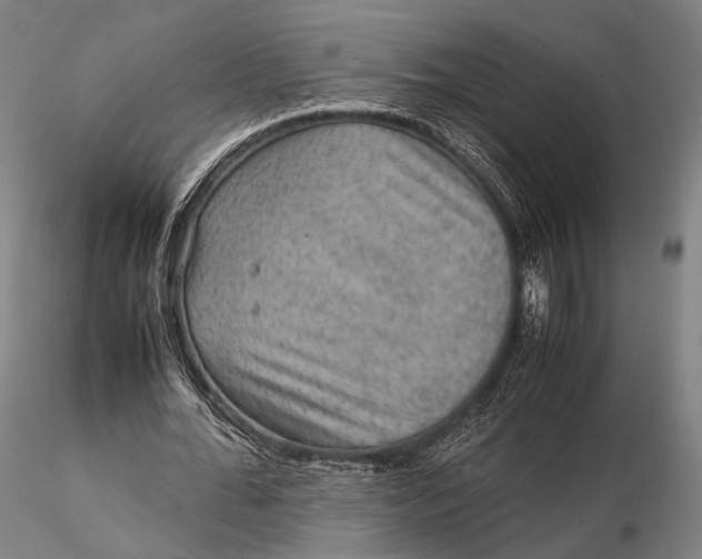 X0000115580676200912011440