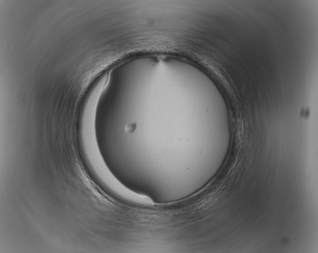 X0000115580677200912011440