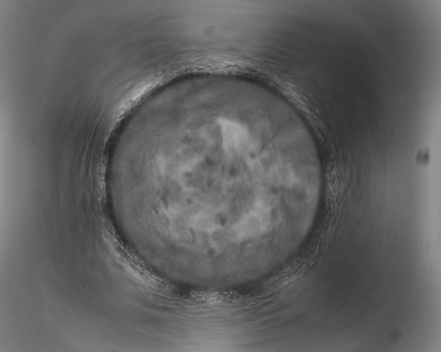 X0000115580679200912011440