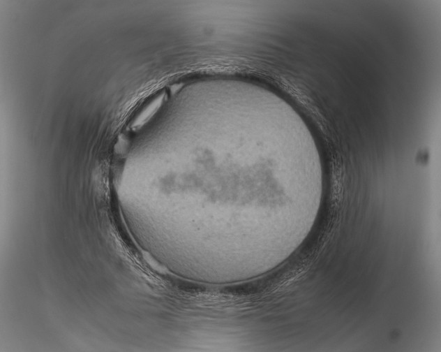 X0000115580681200912011439