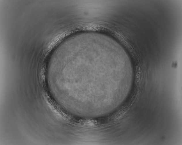 X0000115580683200912011439