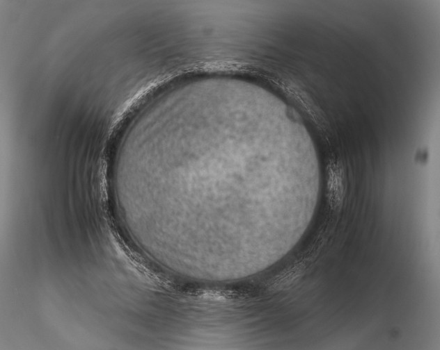 X0000115580684200912011439