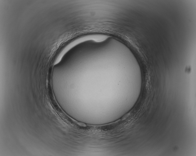 X0000115580685200912011439