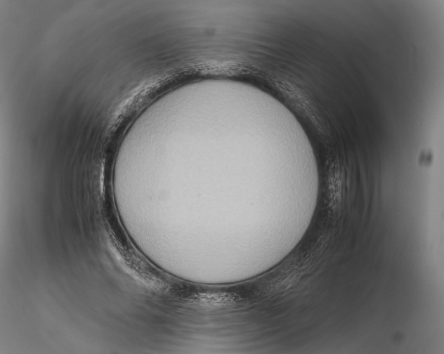 X0000115580686200912011439