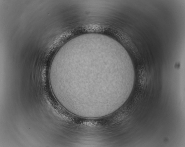 X0000115580690200912011439