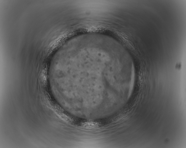 X0000115580691200912011439