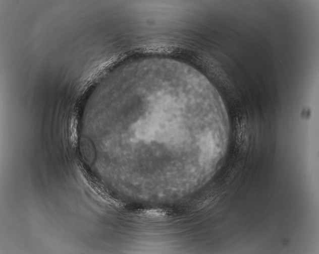 X0000115580692200912011439