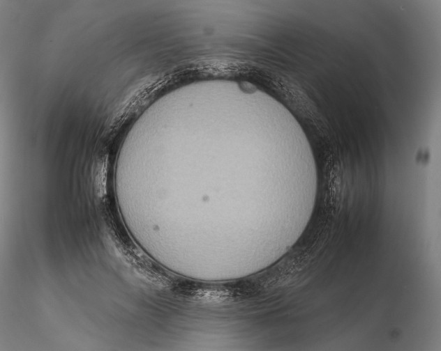 X0000115580694200912011439