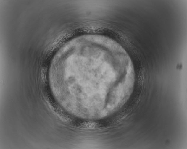 X0000115580695200912011439