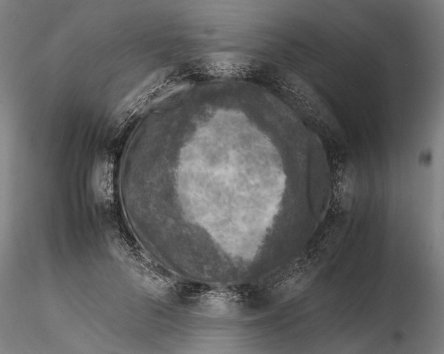 X0000115580696200912011439