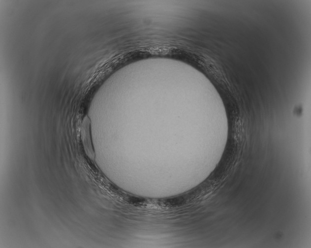 X0000115580697200912011439