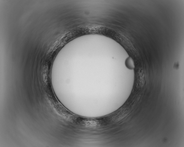 X0000115580698200912011439