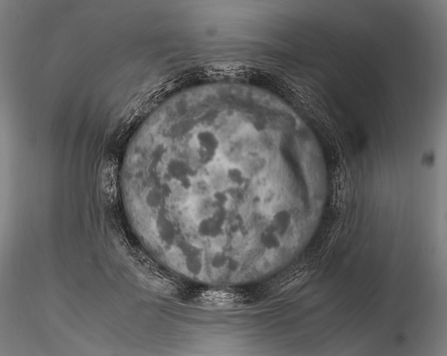 X0000115580699200912011439