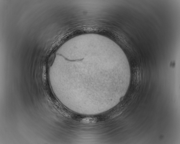 X0000115580700200912011439