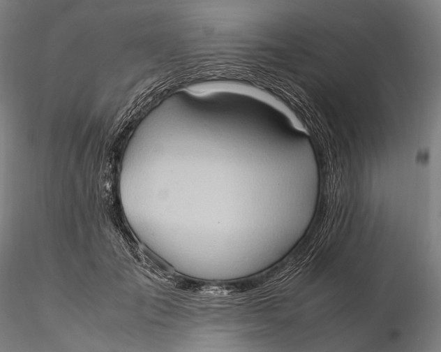 X0000115580701200912011439