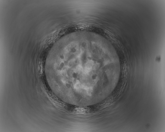 X0000115580703200912011439