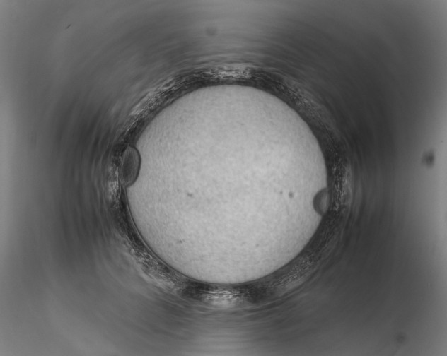 X0000115580704200912011439