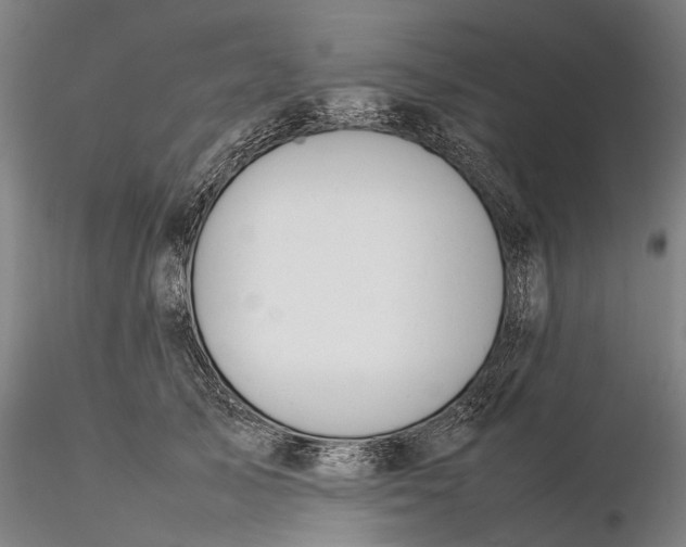 X0000115580705200912011439