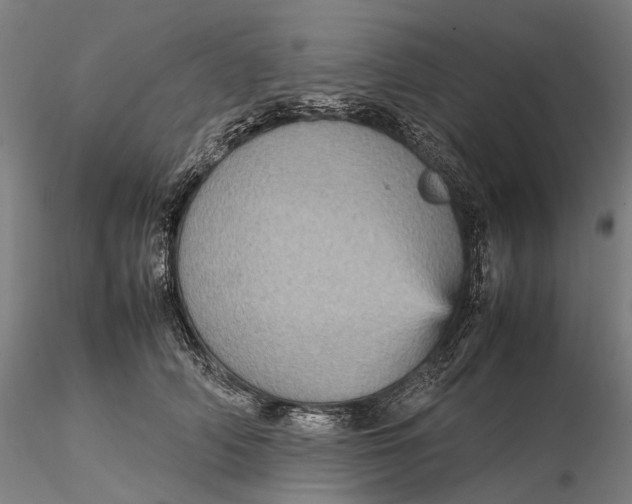 X0000115580706200912011439