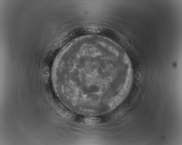 X0000115580707200912011439