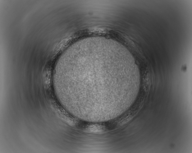 X0000115580708200912011439