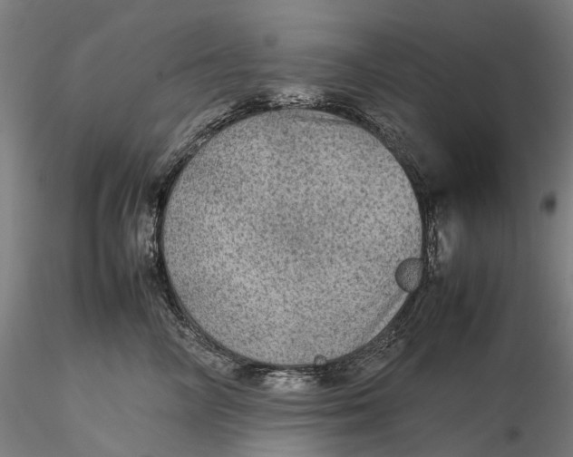 X0000115580714200912011439