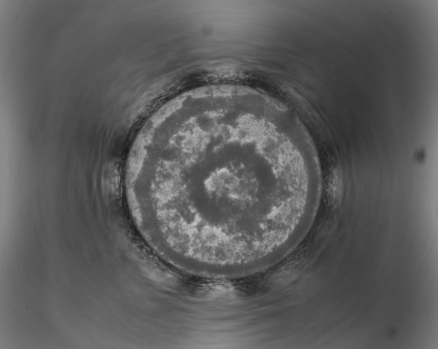 X0000115580715200912011439