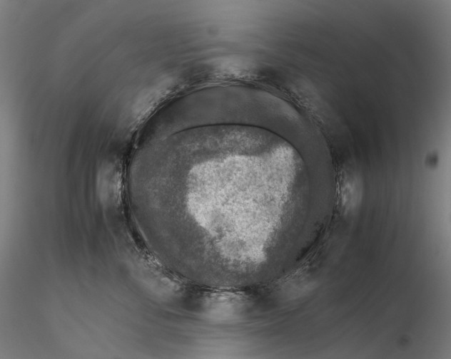 X0000115580716200912011439