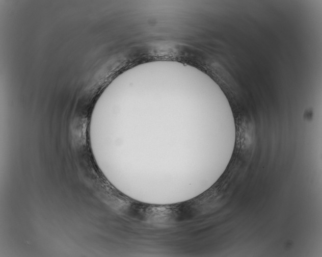 X0000115580717200912011439