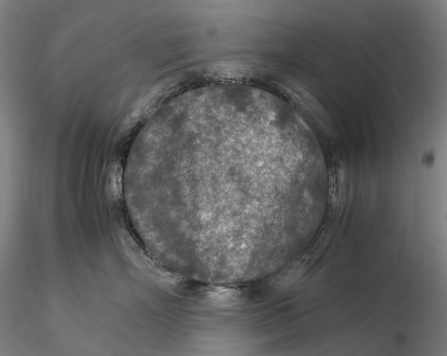 X0000115580718200912011439