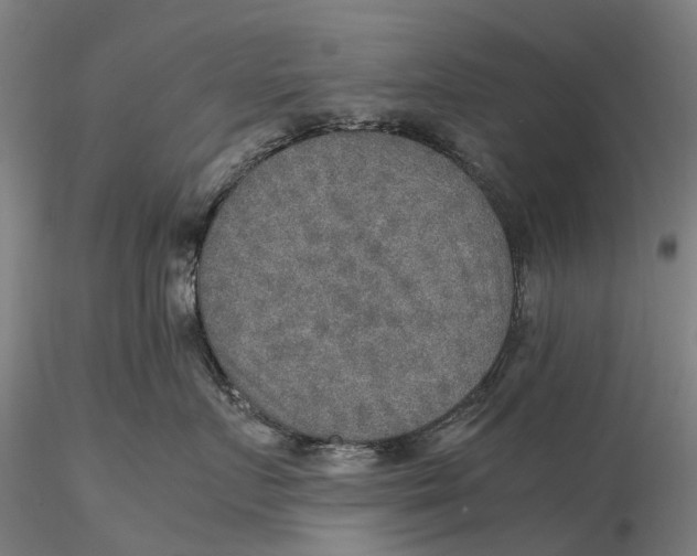 X0000115580719200912011439