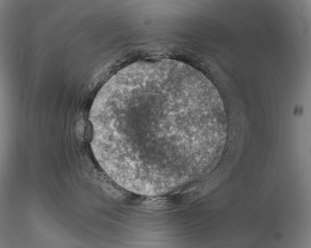 X0000115580720200912011439