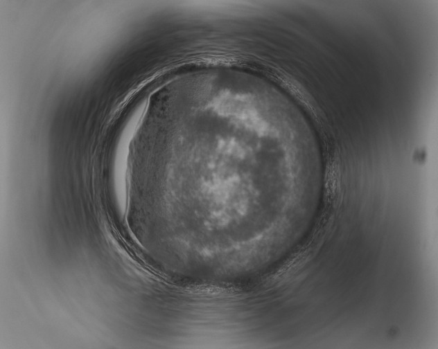 X0000115580722200912011438