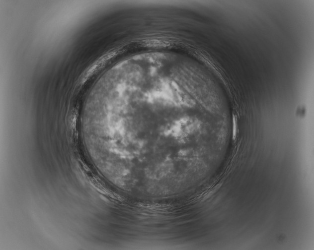 X0000115580723200912011438