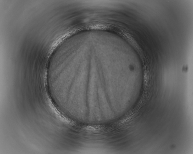 X0000115580725200912011438