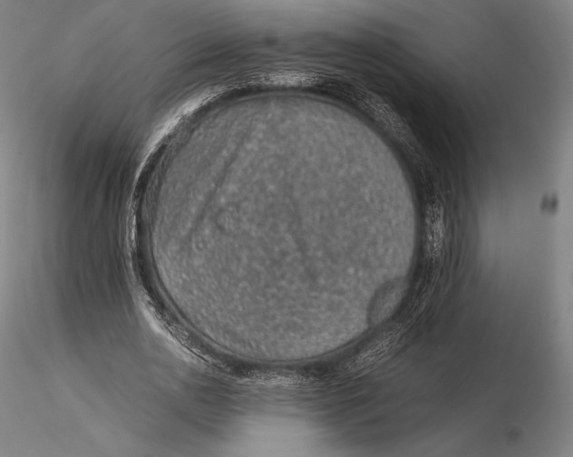 X0000115580726200912011438