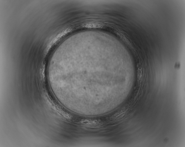 X0000115580727200912011438