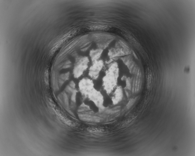 X0000115580729200912011438