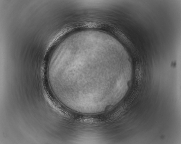 X0000115580730200912011438