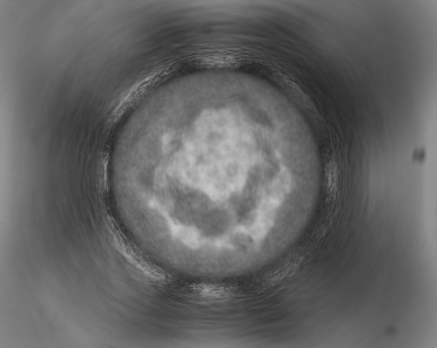 X0000115580733200912011438