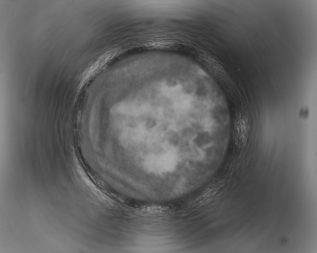 X0000115580734200912011438