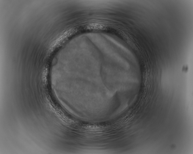 X0000115580735200912011438