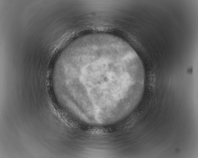 X0000115580738200912011438