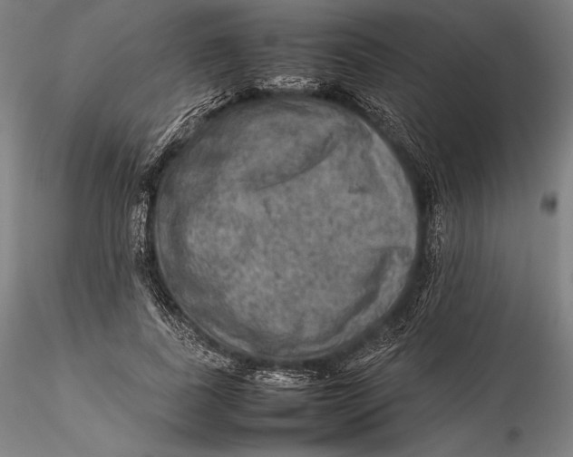 X0000115580739200912011438