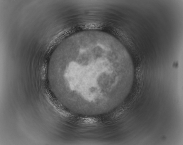 X0000115580741200912011438