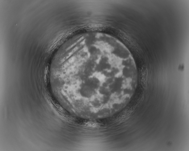 X0000115580742200912011438